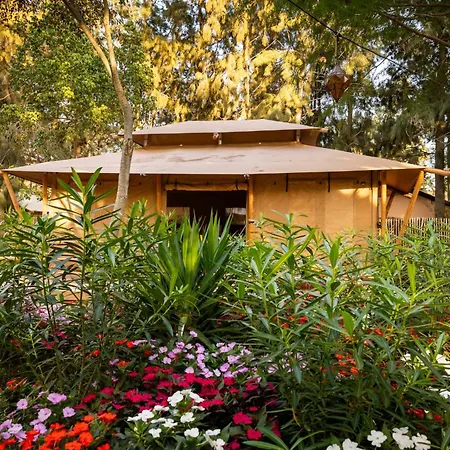 Dunas Luxury Camping Tarifa