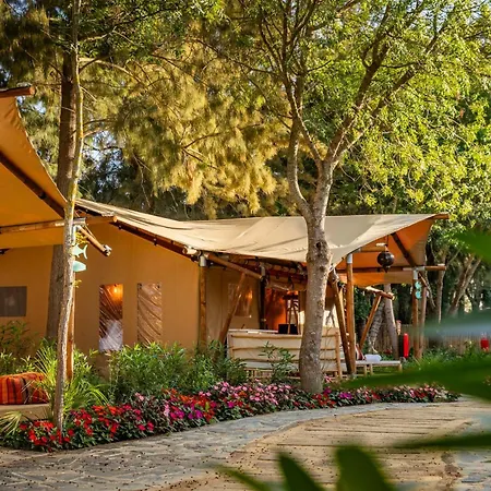 Campsite Dunas Luxury Tarifa