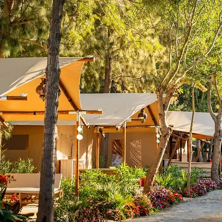 Campsite Dunas Luxury *